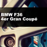 BMW F36: Zugelassene Reifengrößen (4er Gran Coupé)
