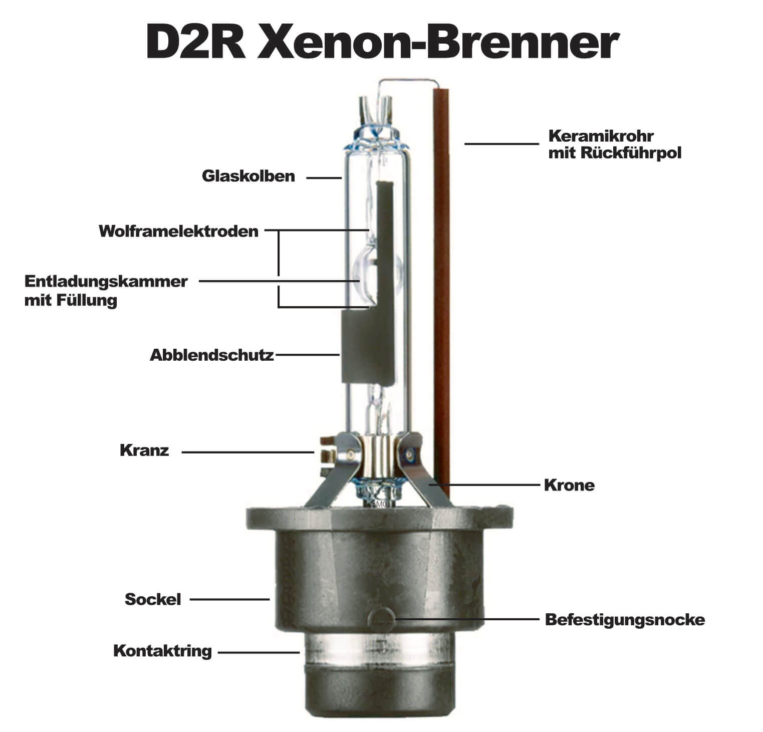 Diese Arten von Xenonbrennern gibt es