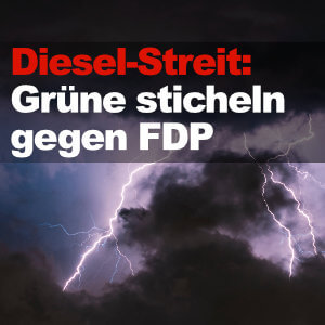 Diesel Streit Gruene FDP s