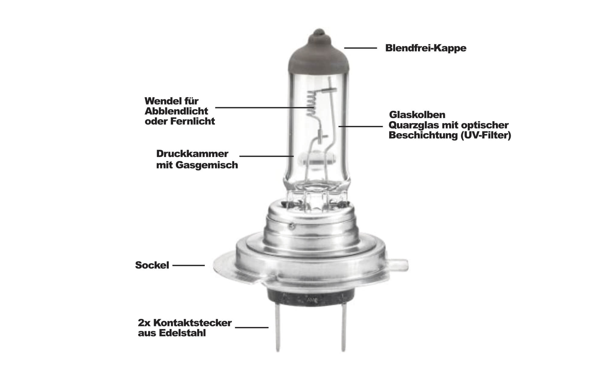 Unterschied zwischen H7- und H4-Lampen: Auswahl der richtigen Glühbirnen ➤  AUTODOC BLOG